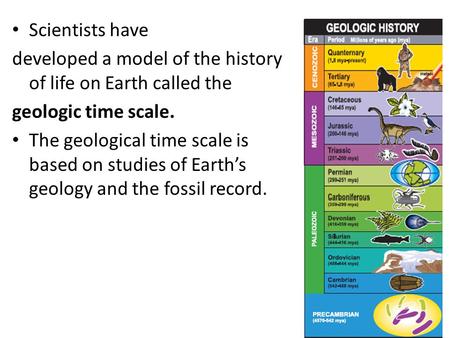 Geologic time scale worksheet