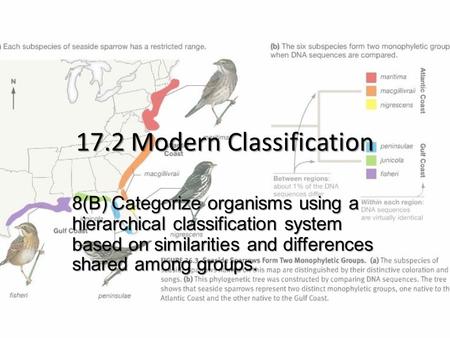 17.2 Modern Classification