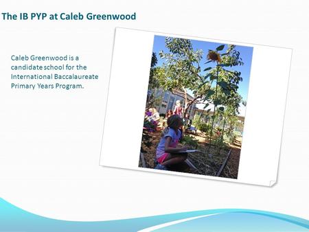 The IB PYP at Caleb Greenwood Caleb Greenwood is a candidate school for the International Baccalaureate Primary Years Program.