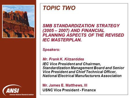 Nanotechnology Standards Panel TOPIC TWO SMB STANDARDIZATION STRATEGY (2005 – 2007) AND FINANCIAL PLANNING ASPECTS OF THE REVISED IEC MASTERPLAN. Speakers: