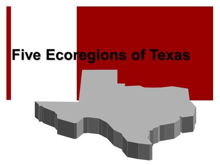 Five Ecoregions of Texas. What Is An Ecoregion?  Ecoregion – a major ecosystem with distinctive geography, characteristic plants and animals, ecosystems,