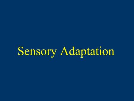 Sensory Adaptation. Diminished sensitivity as a result of constant stimulation If a stimulus is constant and unchanging, eventually a person may fail.