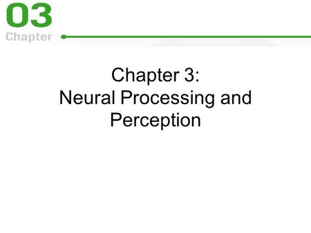 Chapter 3: Neural Processing and Perception. Neural Processing and Perception Neural processing is the interaction of signals in many neurons.
