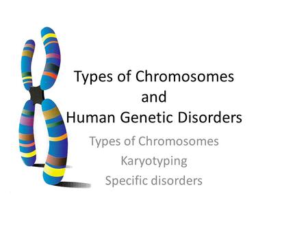 Types of Chromosomes and Human Genetic Disorders Types of Chromosomes Karyotyping Specific disorders.