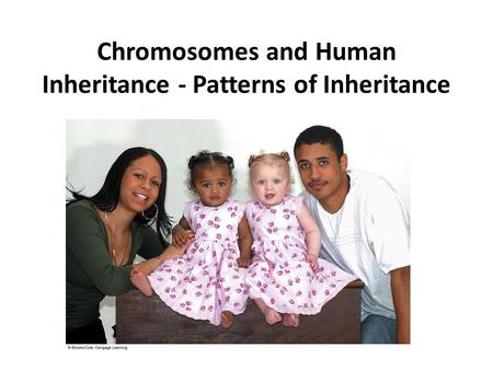 Chromosomes and Human Inheritance - Patterns of Inheritance.