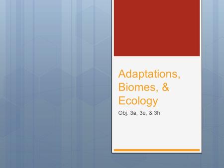 Adaptations, Biomes, & Ecology