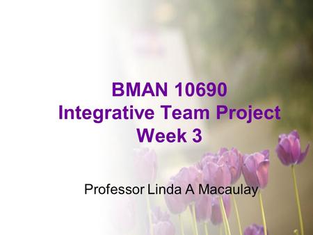 BMAN 10690 Integrative Team Project Week 3 Professor Linda A Macaulay.