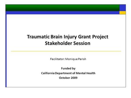Facilitator: Monique Parish Funded by California Department of Mental Health October 2009 Traumatic Brain Injury Grant Project Stakeholder Session.