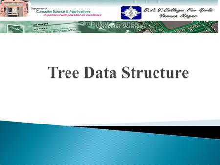  Trees Data Structures Trees Data Structures  Trees Trees  Binary Search Trees Binary Search Trees  Binary Tree Implementation Binary Tree Implementation.