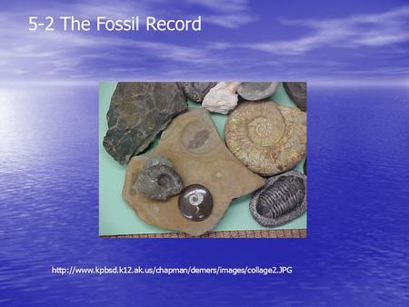 5-2 The Fossil Record http://www.kpbsd.k12.ak.us/chapman/demers/images/collage2.JPG.