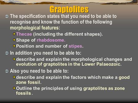 Graptolites  The specification states that you need to be able to recognise and know the function of the following morphological features: Thecae (including.