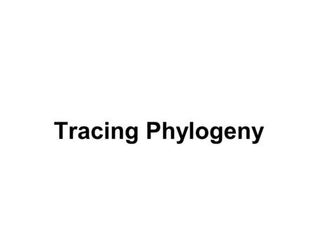 Tracing Phylogeny. Phylogeny u Phylon = tribe, geny = genesis or origin u The evolutionary history of a species or a group of related species.