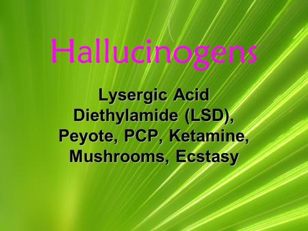Hallucinogens Lysergic Acid Diethylamide (LSD), Peyote, PCP, Ketamine, Mushrooms, Ecstasy.