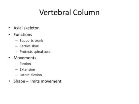 Vertebral Column Axial skeleton Functions – Supports trunk – Carries skull – Protects spinal cord Movements – Flexion – Extension – Lateral flexion Shape.