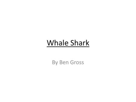 Whale Shark By Ben Gross. Introduction Classification The Whale Shark is the biggest shark and the biggest fish, but it is not a whale.