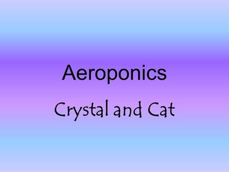 Aeroponics Crystal and Cat.