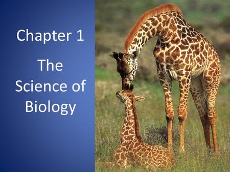 Chapter 1 The Science of Biology. Chapter Vocabulary Lists You will keep a vocabulary list for every chapter in your notebook. My suggestion  Use a section.
