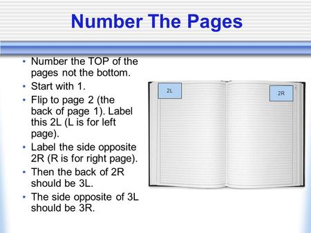 Number the TOP of the pages not the bottom. Start with 1. Flip to page 2 (the back of page 1). Label this 2L (L is for left page). Label the side opposite.
