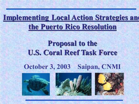 Implementing Local Action Strategies and the Puerto Rico Resolution Proposal to the U.S. Coral Reef Task Force October 3, 2003 Saipan, CNMI.