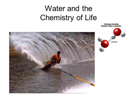 Water and the Chemistry of Life. Water Facts There is the same amount of water on Earth today as there was 3 billion years ago. Three percent of the water.