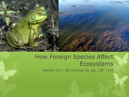 How Foreign Species Affect Ecosystems