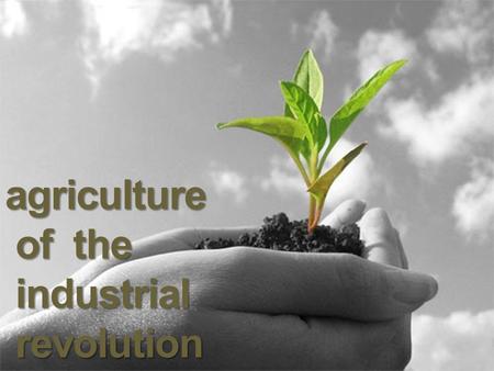 Agriculture of the industrial revolution.