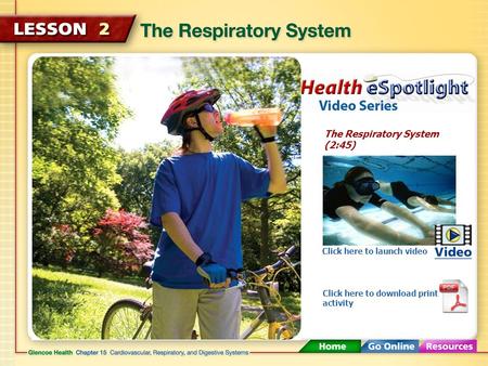 The Respiratory System (2:45)