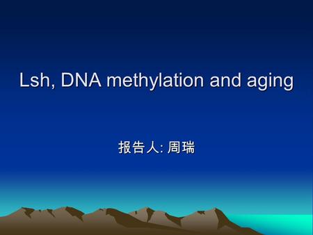 Lsh, DNA methylation and aging 报告人 : 周瑞. Normal DNA methylation In mammals, DNA methylation patterns: an initial wave of global demethylation; the rapid.