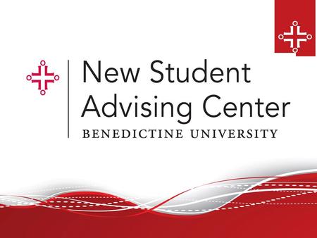 Members of the NSAC Placement Testing Specialist Transfer Credit Evaluation Team AP credits Dual credits Academic Advisors First year of study at Benedictine.