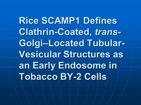 Rice SCAMP1 Defines Clathrin-Coated, trans- Golgi–Located Tubular- Vesicular Structures as an Early Endosome in Tobacco BY-2 Cells.