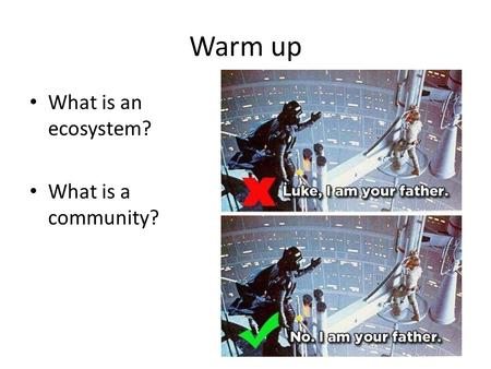 Warm up What is an ecosystem? What is a community?