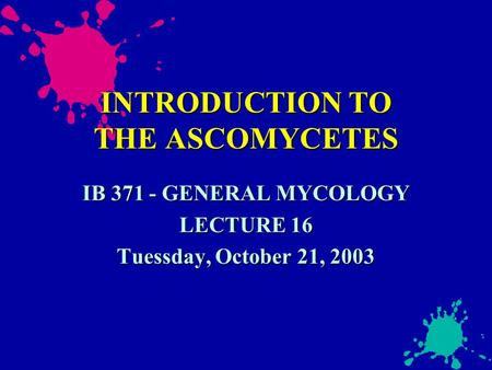 INTRODUCTION TO THE ASCOMYCETES IB 371 - GENERAL MYCOLOGY LECTURE 16 Tuessday, October 21, 2003.