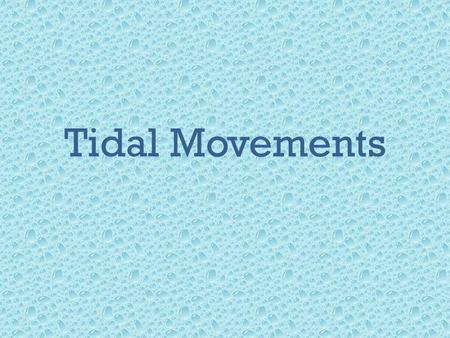 Tidal Movements. Tides: the rise and fall of sea levels caused by the combined effects of the gravitational forces exerted by the Moon and the Sun and.