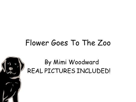 Flower Goes To The Zoo By Mimi Woodward REAL PICTURES INCLUDED!