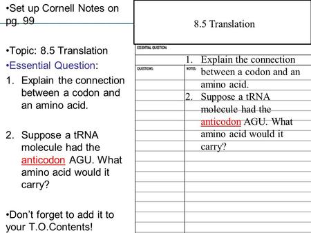 Set up Cornell Notes on pg. 99