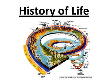 History of Life Chapter 14.