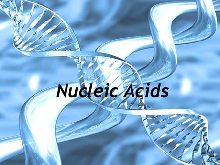 Nucleic Acids. Nucleic Acid Structure Polymer (4 th macromolecule) Monomer subunits are called nucleotides Nucleotides have 3 components: 1) pentose sugar.