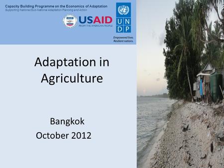 Presentation Title Capacity Building Programme on the Economics of Adaptation Supporting National/Sub-National Adaptation Planning and Action Adaptation.