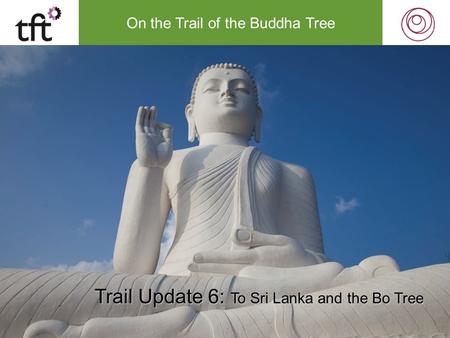 On the Trail of the Buddha Tree Trail Update 6: To Sri Lanka and the Bo Tree.