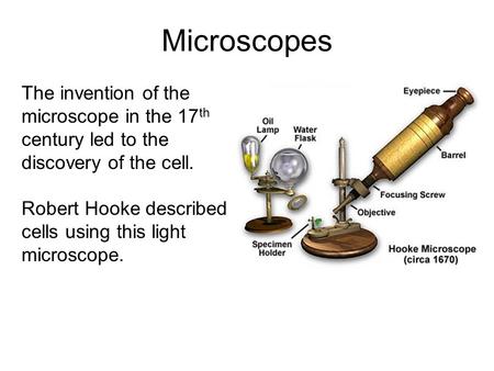 Microscopes The invention of the microscope in the 17 th century led to the discovery of the cell. Robert Hooke described cells using this light microscope.