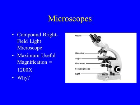 Microscopes Compound Bright-Field Light Microscope