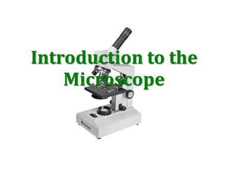 Introduction to the Microscope. Types of Microscopes The models found in most schools, use compound lenses to magnify objects. The lenses bend or refract.