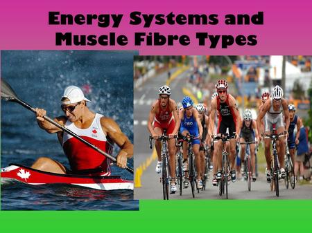 Energy Systems and Muscle Fibre Types. Three Key Energy Nutrients The food that we eat is broken down into three nutrients during digestion: Protein Fats.