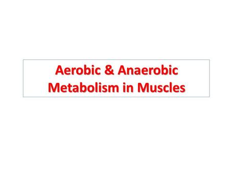 Aerobic & Anaerobic Metabolism in Muscles. Objectives Recognize the importance of ATP as energy source in skeletal muscle. Understand how skeletal muscles.