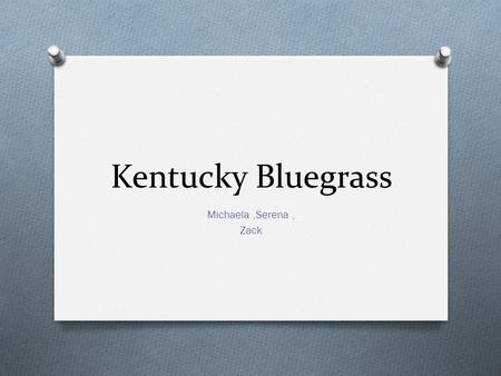 Kentucky Bluegrass Michaela ,Serena , Zack.