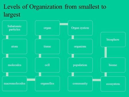 Levels of Organization from smallest to largest