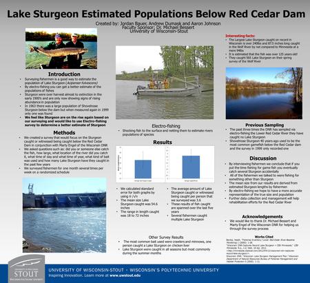 Created by: Jordan Bauer, Andrew Dumask and Aaron Johnson Faculty Sponsor: Dr. Michael Bessert University of Wisconsin-Stout Introduction Surveying fishermen.