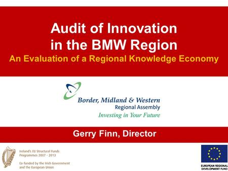 Audit of Innovation in the BMW Region An Evaluation of a Regional Knowledge Economy Gerry Finn, Director.
