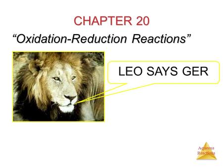 Aqueous Reactions CHAPTER 20 “Oxidation-Reduction Reactions” LEO SAYS GER.