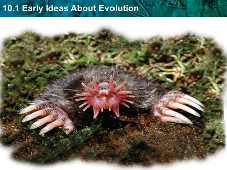 10.1 Early Ideas About Evolution. Spontaneous Generation – living things could come from nonliving things Biogenesis – all living things come from other.